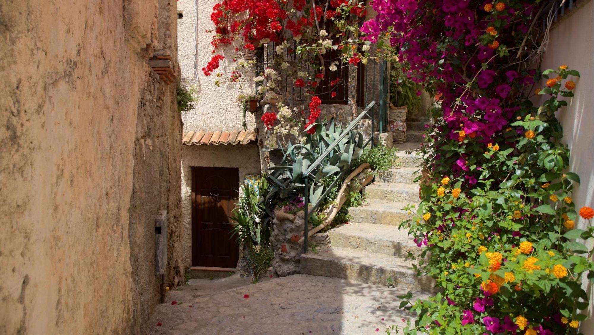 The Lemon Tree House Διαμέρισμα Scalea Εξωτερικό φωτογραφία
