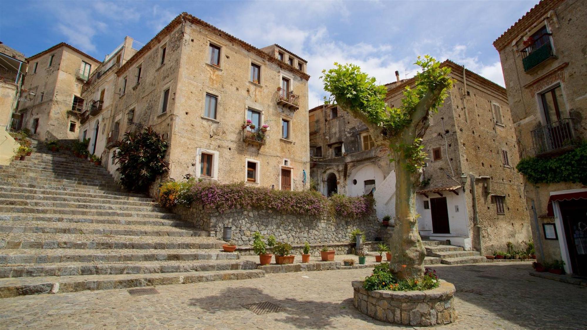 The Lemon Tree House Διαμέρισμα Scalea Εξωτερικό φωτογραφία