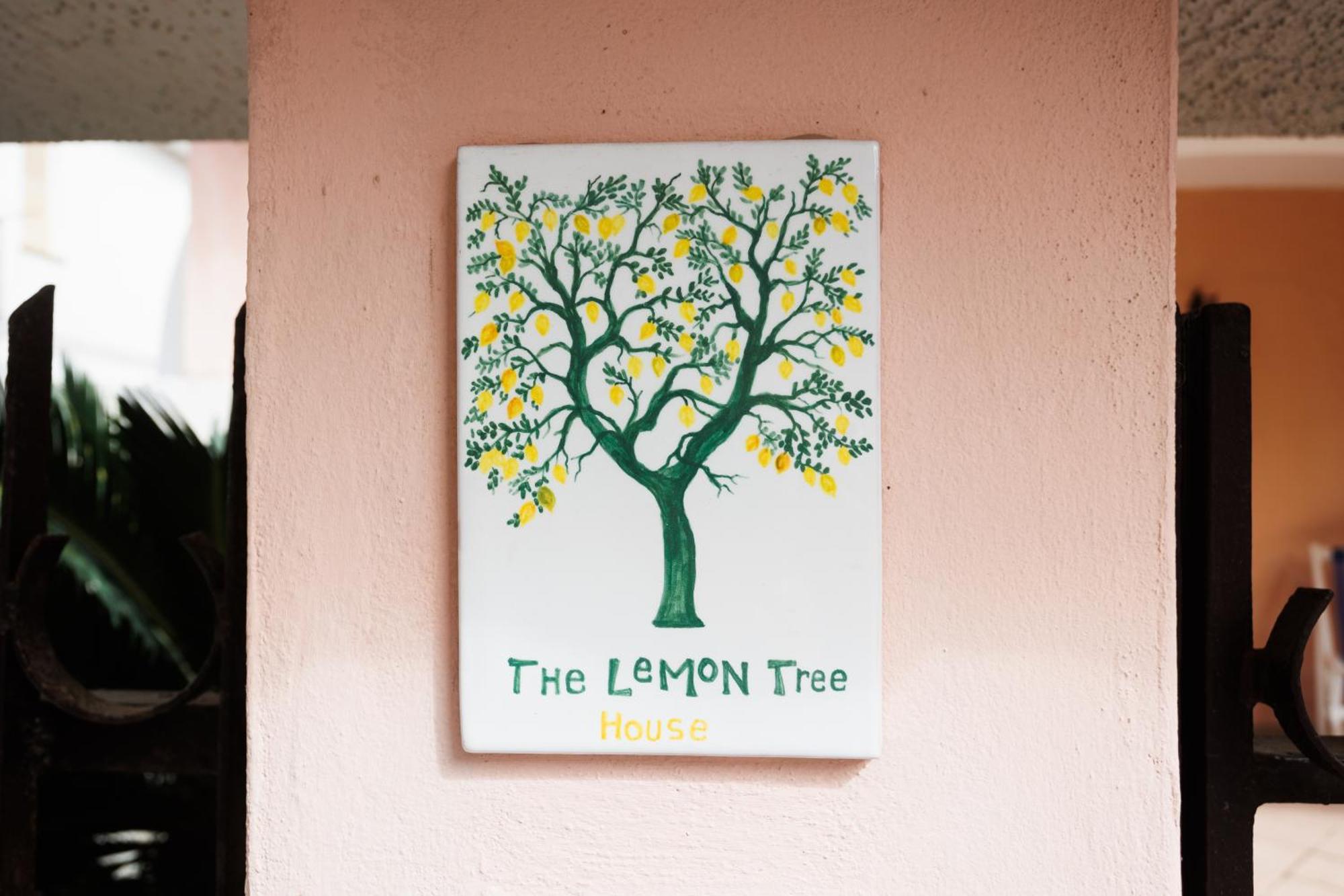 The Lemon Tree House Διαμέρισμα Scalea Εξωτερικό φωτογραφία